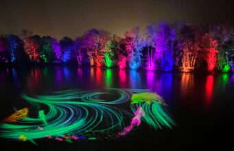 Dans l’Ain, le Parc des Oiseaux transforme l’hiver avec un parcours nocturne immersif Le Parc des Oiseaux propose une promenade nocturne immersive, permettant aux familles d’explorer le site différemment