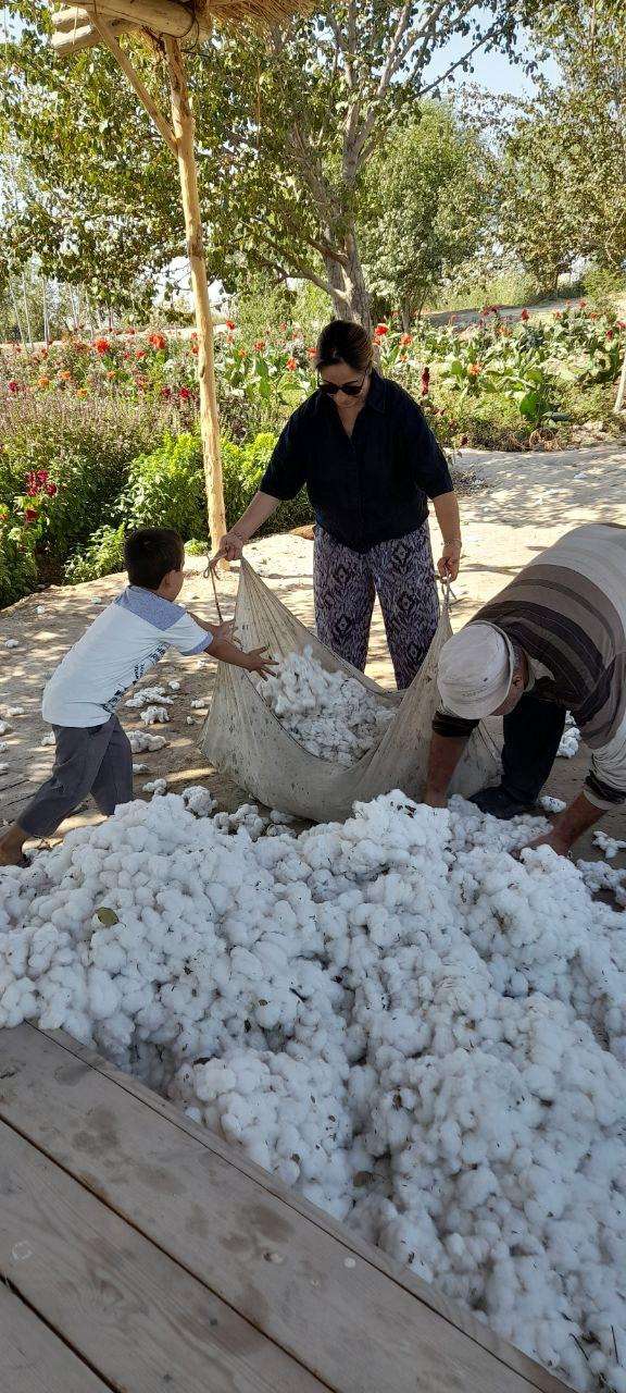 Navbakhor Boudot -Ramassage de coton à Ouzbékistan 