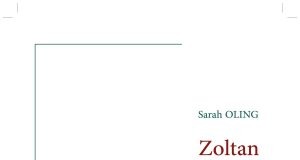 Zoltan : des rencontres dans le Vieux Lyon Zoltan, roman de la journaliste Sarah Oling