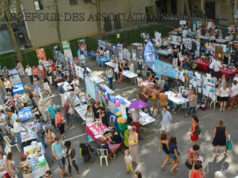 Forum des APA : quand sport, santé et inclusion se rencontrent à la Métropole de Lyon 3ème forum des Activités Physiques Adaptées de la Métropole de Lyon
