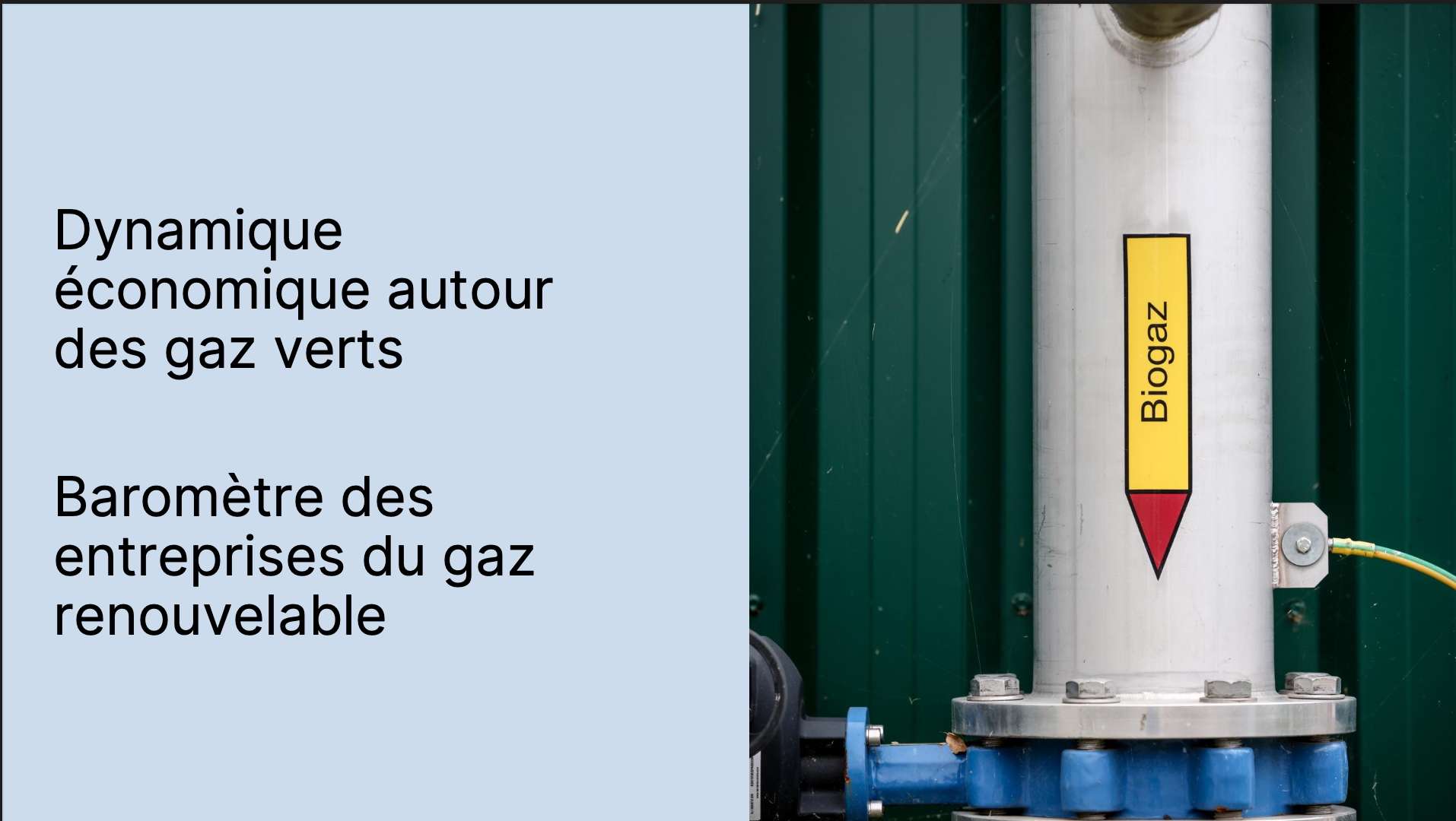 Dynamique économique autour des gaz verts