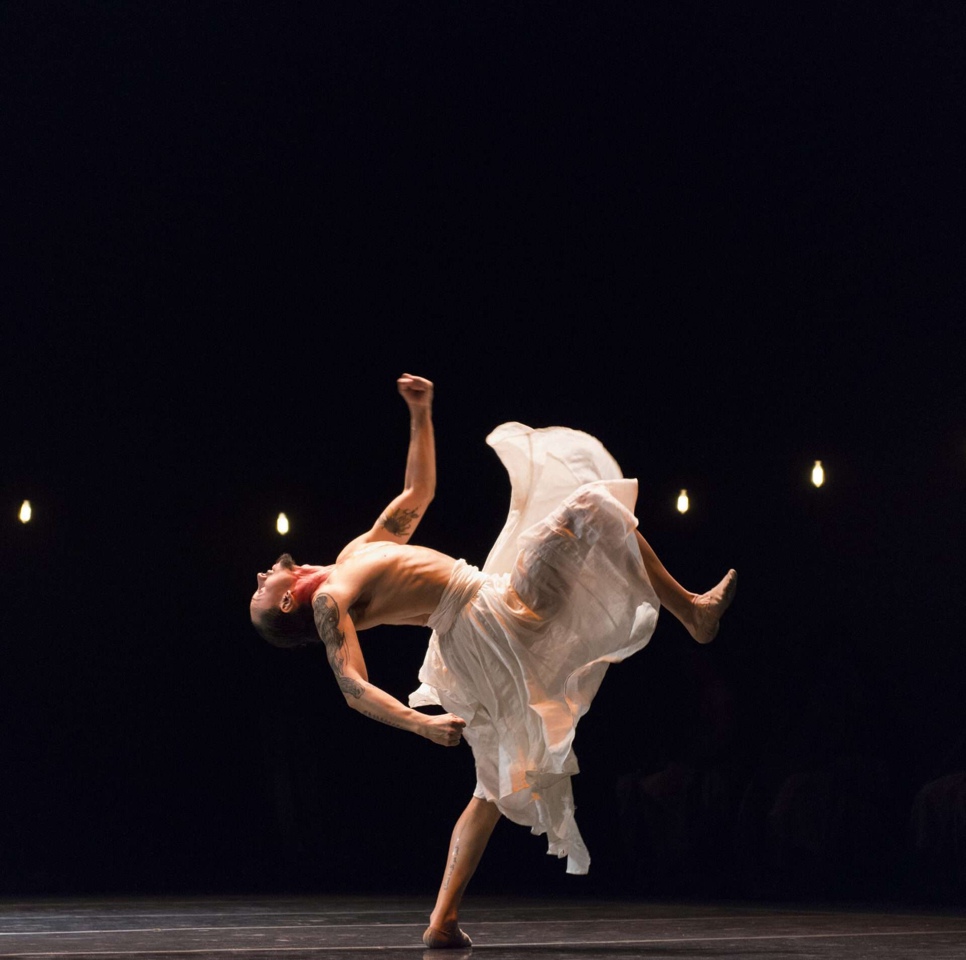 Grupo Corpo à la maison de Danse Lyon_foto Jose Luiz Pederneiras