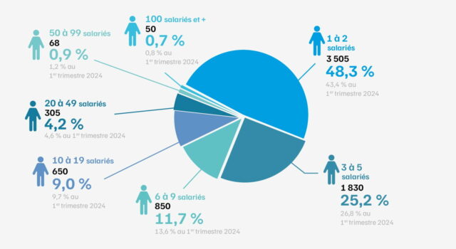 AGS-Typologie d'entreprises