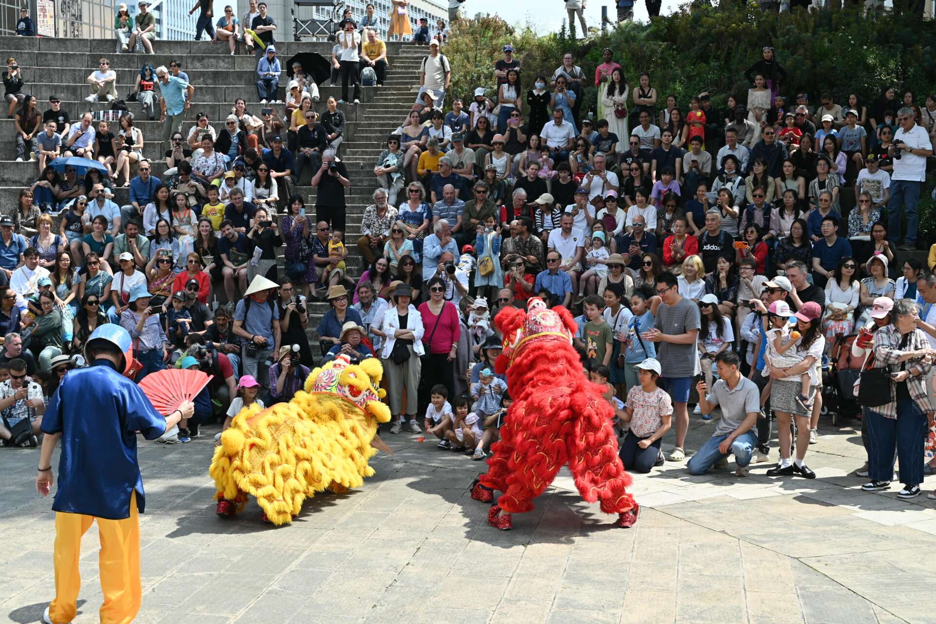 danse Lion à Lyon -culture Asie