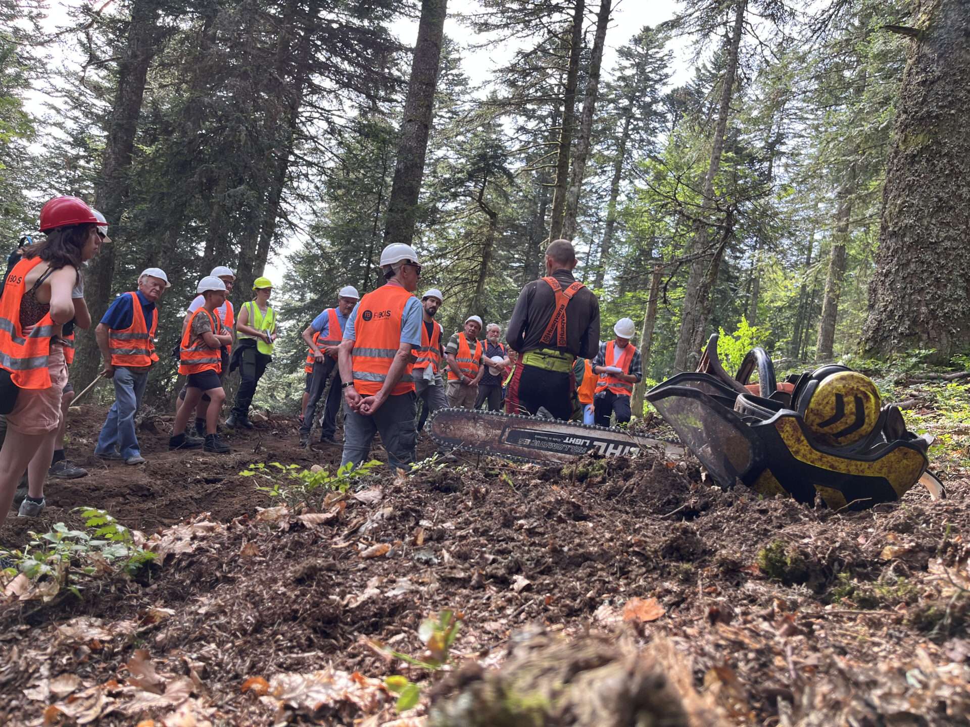 Auvergne-Rhône-Alpes : plus de 50 sorties pour comprendre le métier de bûcheron-Crédit photo Fibois AuRA_3
