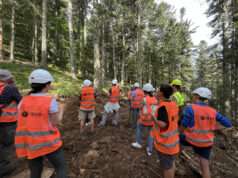 Vis ma vie de bûcheron : des balades immersives en forêt partout en Auvergne-Rhône-Alpes Balades en forêt et métiers du bois : le succès de “Vis ma vie de bûcheron” -Crédit photo Fibois AuRA_4