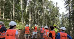 Vis ma vie de bûcheron : des balades immersives en forêt partout en Auvergne-Rhône-Alpes Balades en forêt et métiers du bois : le succès de “Vis ma vie de bûcheron” -Crédit photo Fibois AuRA_4