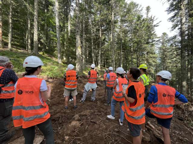 Balades en forêt et métiers du bois : le succès de “Vis ma vie de bûcheron” -Crédit photo Fibois AuRA_4