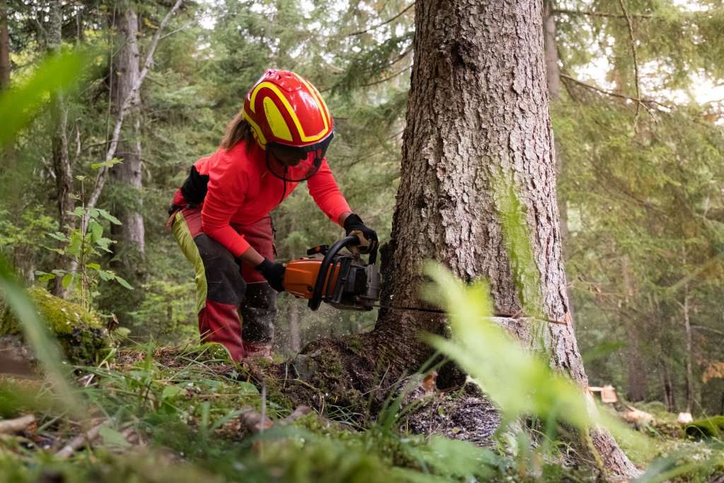 Tourisme nature et emploi : partez à la rencontre des professionnels de la forêt-Crédit photo Matteo Challe
