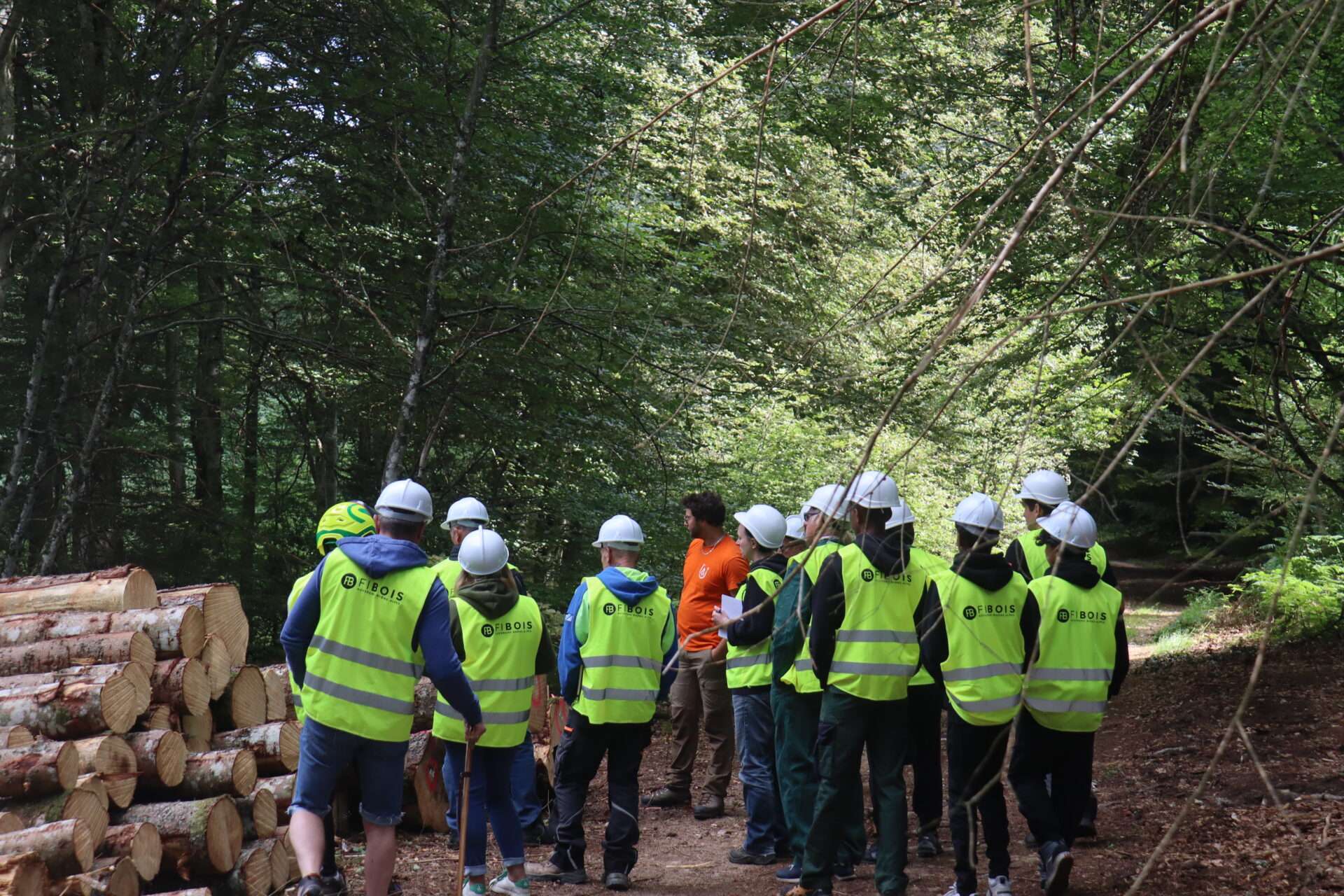 Dans les forêts d’Auvergne-Rhône-Alpes, des balades immersives pour découvrir la vie de bûcheron-Crédit photo_Fibois AuRA