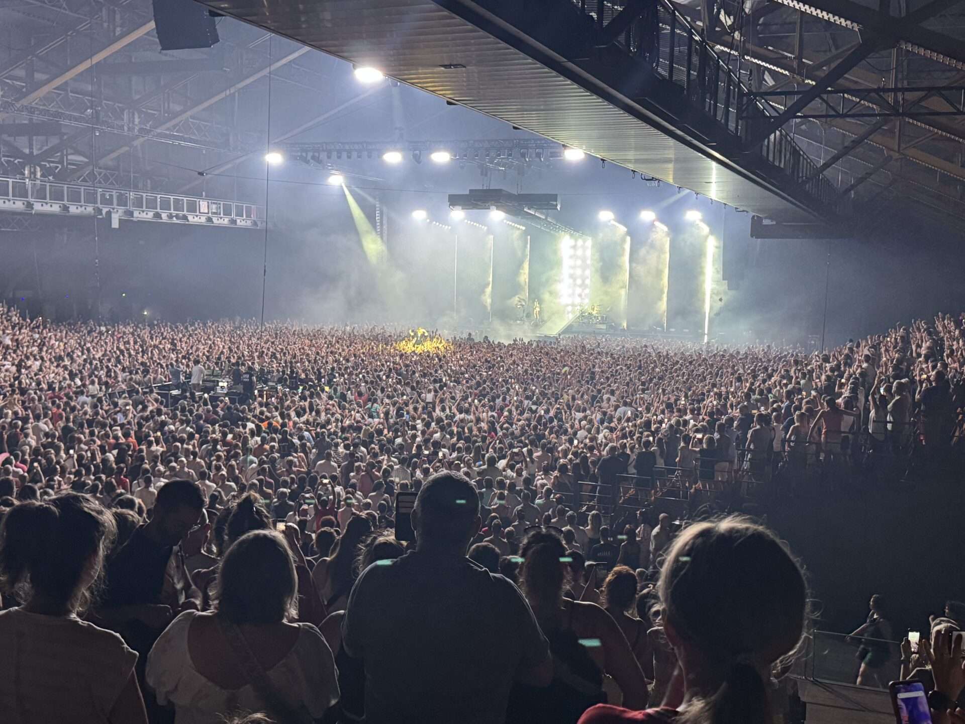 concerts à la Halle Tony Garnier 