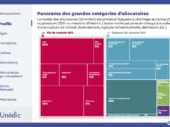 Assurance chômage : miroir d’un marché du travail fragmenté Assurance chômage et stratégies d’entreprise : une flexibilité socialisée