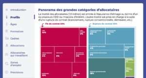 Assurance chômage : miroir d’un marché du travail fragmenté Assurance chômage et stratégies d’entreprise : une flexibilité socialisée