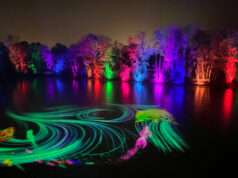 Dans l’Ain, le Parc des Oiseaux transforme l’hiver avec un parcours nocturne immersif Le Parc des Oiseaux propose une promenade nocturne immersive, permettant aux familles d’explorer le site différemment