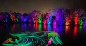 Dans l’Ain, le Parc des Oiseaux transforme l’hiver avec un parcours nocturne immersif Le Parc des Oiseaux propose une promenade nocturne immersive, permettant aux familles d’explorer le site différemment
