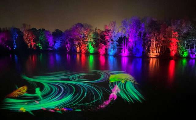 Le Parc des Oiseaux propose une promenade nocturne immersive, permettant aux familles d’explorer le site différemment