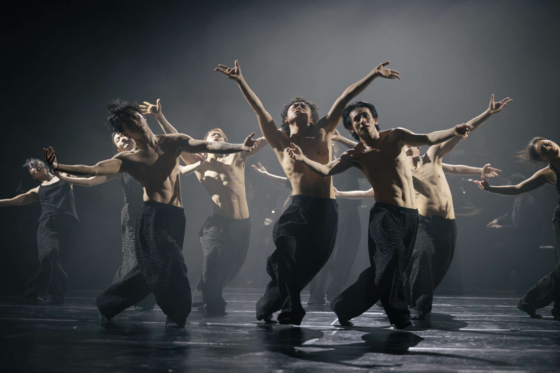 Saison 2026-2027 à la Maison de la danse de Lyon