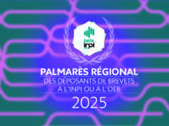 L’INPI dévoile les régions qui concentrent le plus de demandes de brevet en France Brevets, l’INPI révèle la place de l’Auvergne-Rhône-Alpes dans l’innovation française